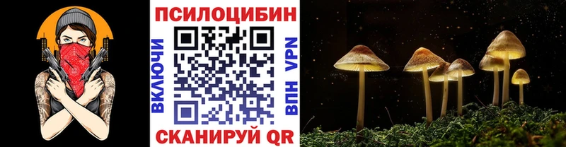 Псилоцибиновые грибы Cubensis  купить   Краснодар 